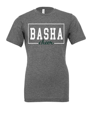 Basha Cheer Blockout on Grey